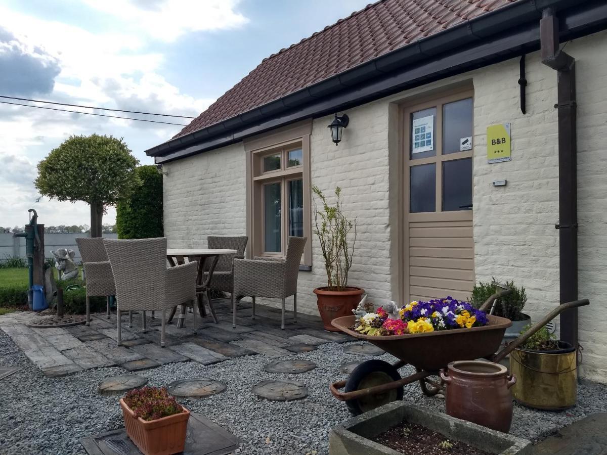 Dhofstede Vakantiewoning Oudenaarde Zewnętrze zdjęcie